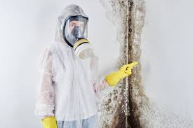 Best Emergency Mold Remediation  in Manning, SC